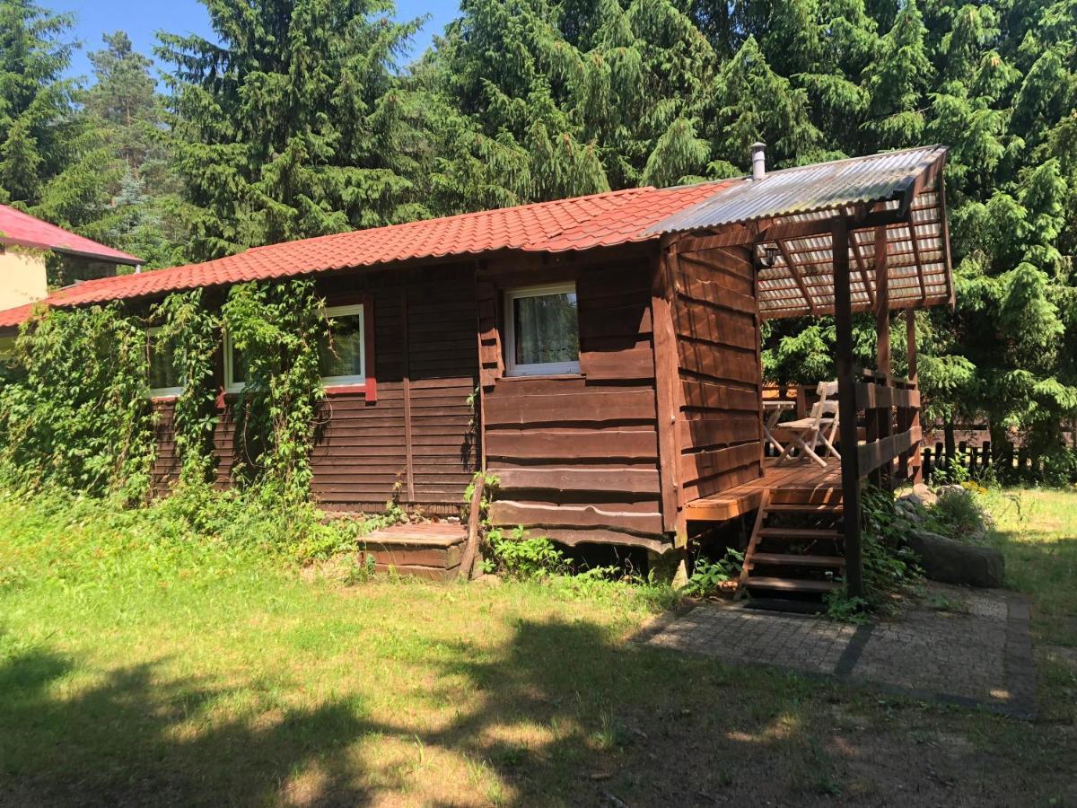 Gosciniec Pod Debem Villa Wilimy Екстериор снимка