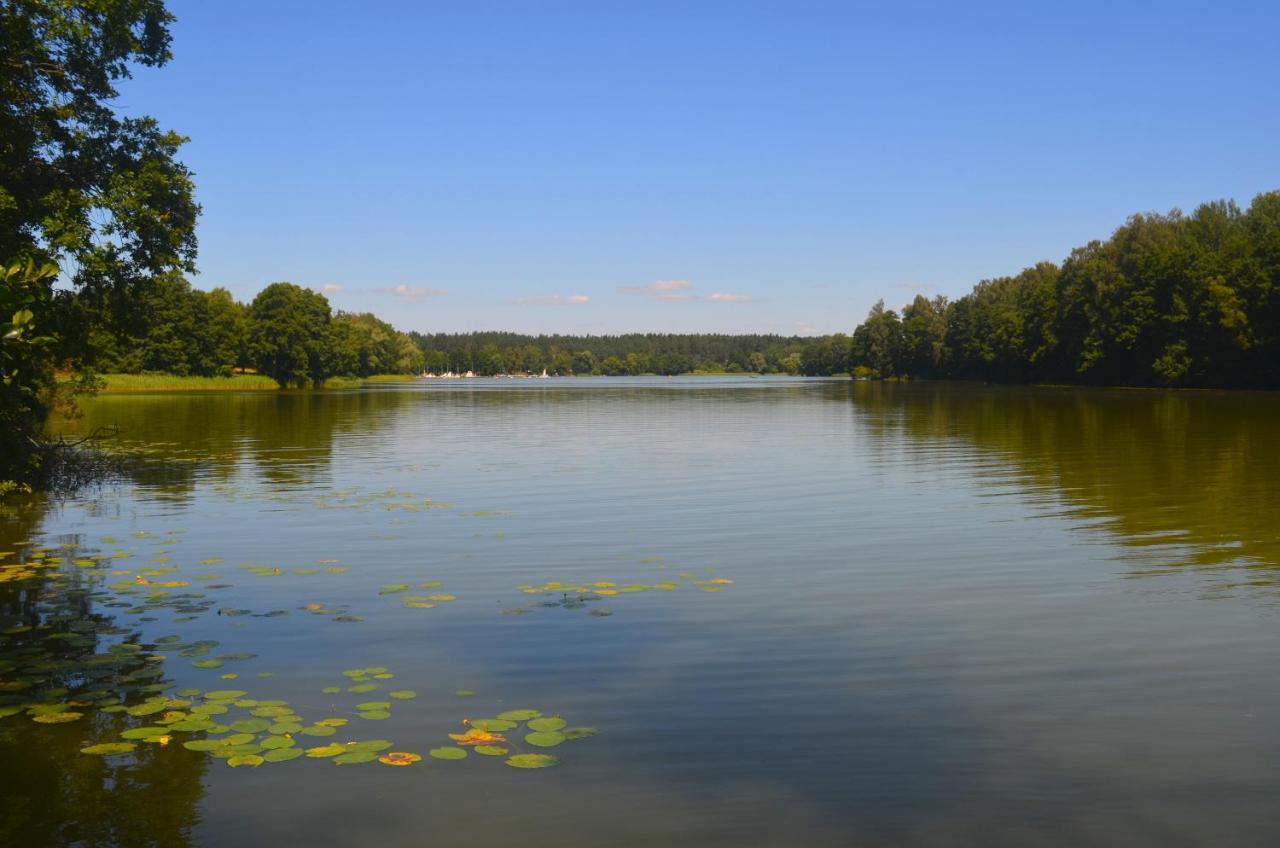 Gosciniec Pod Debem Villa Wilimy Екстериор снимка