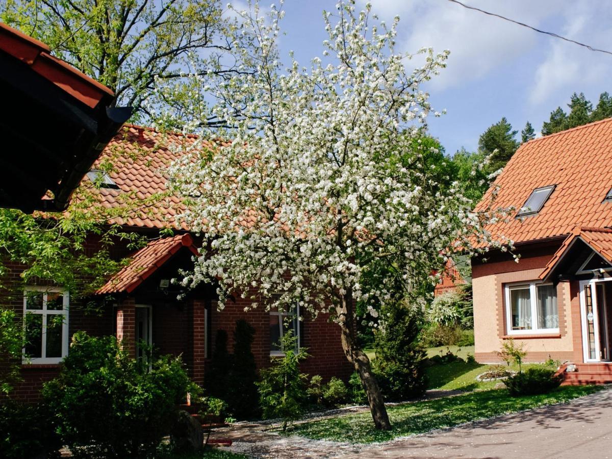 Gosciniec Pod Debem Villa Wilimy Екстериор снимка